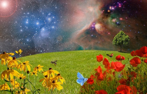 Povoamento da Terra e diversidades das raças humanas