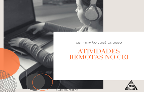 Atividades remotas no CEI