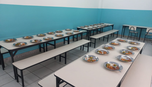 alimentacao