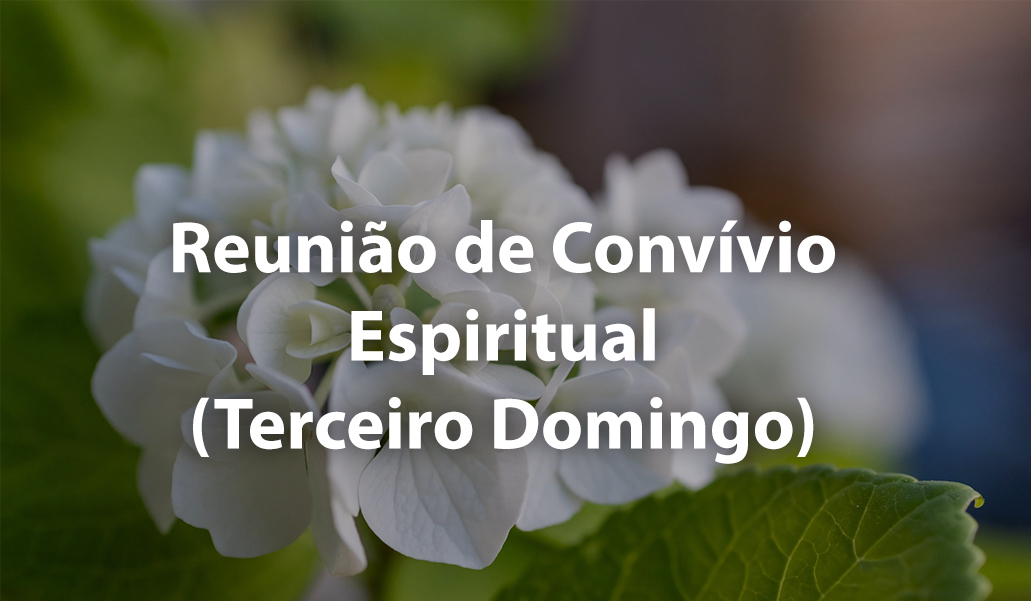 Reuniao-de-Convivio-1032x601_novo