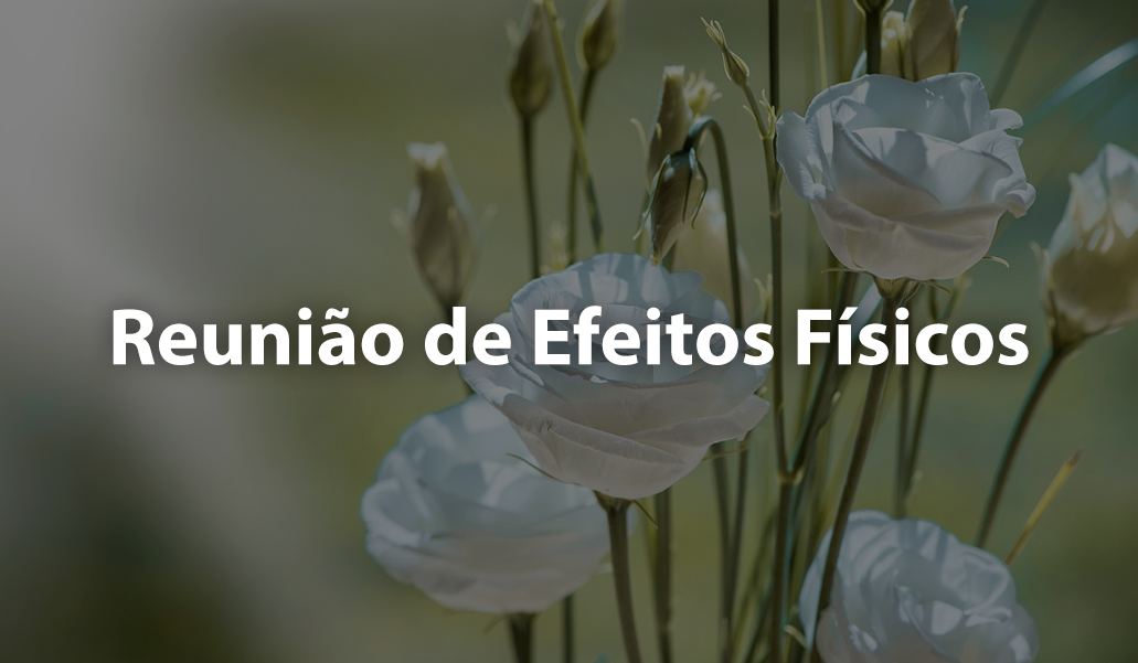 44_Reuniao-de-Efeitos-Fisicos